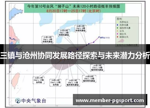 三镇与沧州协同发展路径探索与未来潜力分析